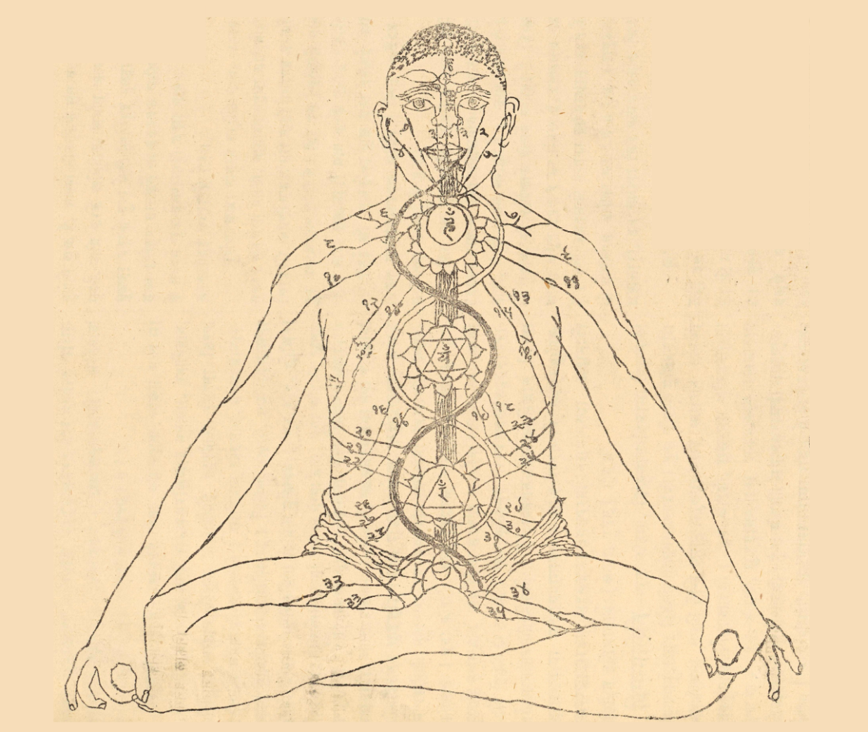 ayurveda holistic health dosha ayurveda course ayurveda series winston salem