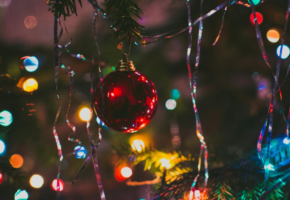 photography of red string lights hanging on green trees